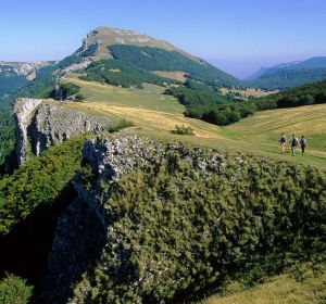 Excursion Parc Naturel du Vercors en voiture de prestige.